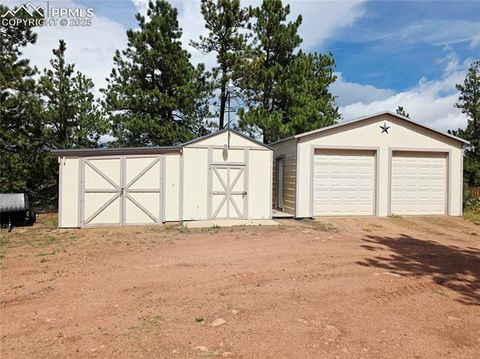Tiny photo for 277 Cherokee Drive, Florissant, CO 80816 (MLS # 1684033)
