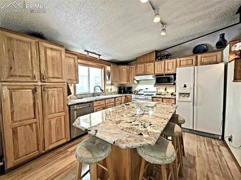 Tiny photo for 277 Cherokee Drive, Florissant, CO 80816 (MLS # 1684033)