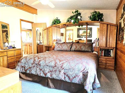 Tiny photo for 277 Cherokee Drive, Florissant, CO 80816 (MLS # 1684033)