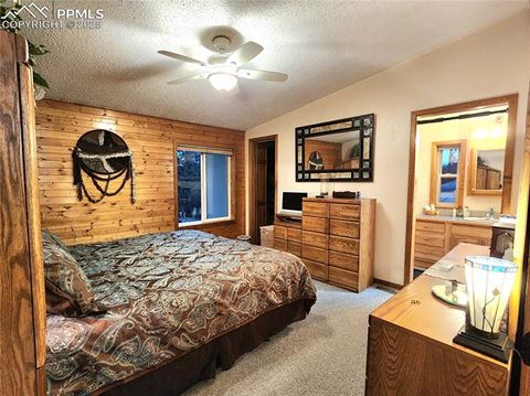 Tiny photo for 277 Cherokee Drive, Florissant, CO 80816 (MLS # 1684033)