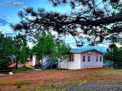 Tiny photo for 277 Cherokee Drive, Florissant, CO 80816 (MLS # 1684033)