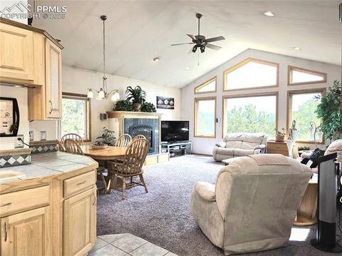 Tiny photo for 277 Cherokee Drive, Florissant, CO 80816 (MLS # 1684033)