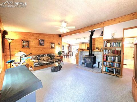 Tiny photo for 277 Cherokee Drive, Florissant, CO 80816 (MLS # 1684033)