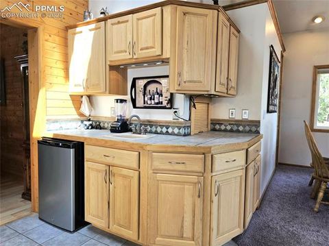 Tiny photo for 277 Cherokee Drive, Florissant, CO 80816 (MLS # 1684033)