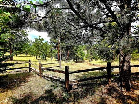 Tiny photo for 277 Cherokee Drive, Florissant, CO 80816 (MLS # 1684033)