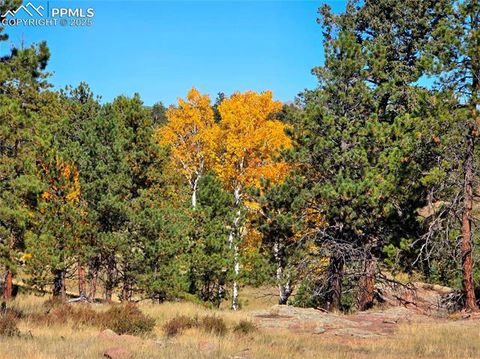 Tiny photo for 277 Cherokee Drive, Florissant, CO 80816 (MLS # 1684033)