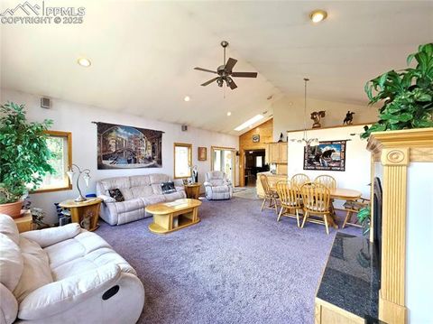 Tiny photo for 277 Cherokee Drive, Florissant, CO 80816 (MLS # 1684033)