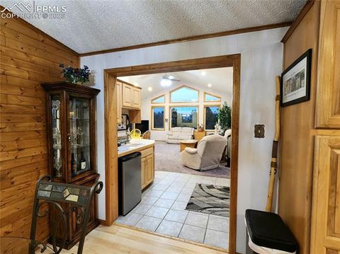 Tiny photo for 277 Cherokee Drive, Florissant, CO 80816 (MLS # 1684033)