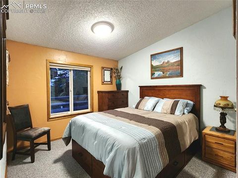 Tiny photo for 277 Cherokee Drive, Florissant, CO 80816 (MLS # 1684033)