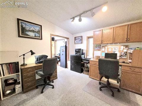 Tiny photo for 277 Cherokee Drive, Florissant, CO 80816 (MLS # 1684033)
