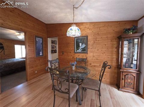 Tiny photo for 277 Cherokee Drive, Florissant, CO 80816 (MLS # 1684033)