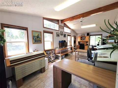 Tiny photo for 277 Cherokee Drive, Florissant, CO 80816 (MLS # 1684033)