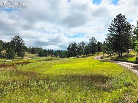 Tiny photo for 277 Cherokee Drive, Florissant, CO 80816 (MLS # 1684033)