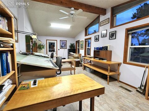 Tiny photo for 277 Cherokee Drive, Florissant, CO 80816 (MLS # 1684033)