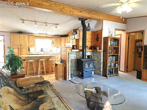 Tiny photo for 277 Cherokee Drive, Florissant, CO 80816 (MLS # 1684033)