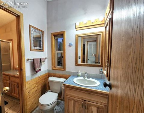 Tiny photo for 277 Cherokee Drive, Florissant, CO 80816 (MLS # 1684033)
