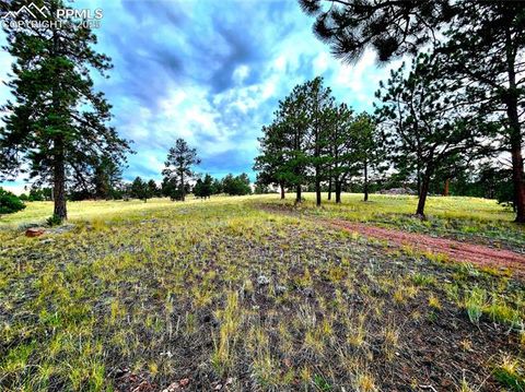 Tiny photo for 277 Cherokee Drive, Florissant, CO 80816 (MLS # 1684033)