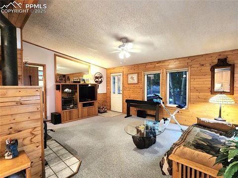 Tiny photo for 277 Cherokee Drive, Florissant, CO 80816 (MLS # 1684033)