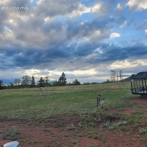 Photo of 3243 County Road 86, Victor, CO 80860 (MLS # 7849368)