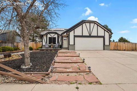 Photo of 8115 Tulip Tree Court, Colorado Springs, CO 80920 (MLS # 1347340)