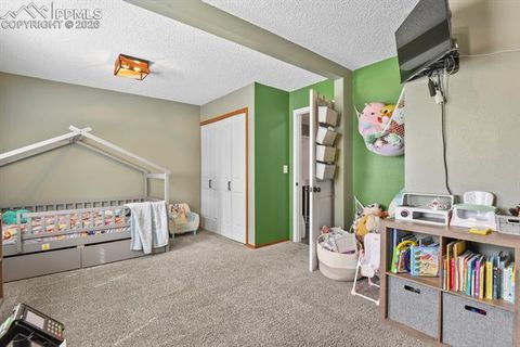 Tiny photo for 8115 Tulip Tree Court, Colorado Springs, CO 80920 (MLS # 1347340)