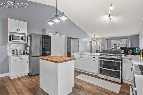 Tiny photo for 8115 Tulip Tree Court, Colorado Springs, CO 80920 (MLS # 1347340)