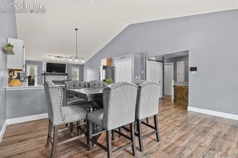 Tiny photo for 8115 Tulip Tree Court, Colorado Springs, CO 80920 (MLS # 1347340)