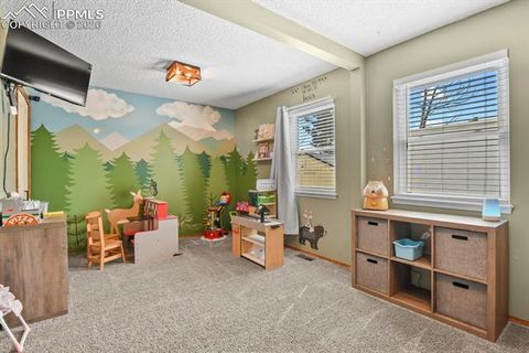 Tiny photo for 8115 Tulip Tree Court, Colorado Springs, CO 80920 (MLS # 1347340)