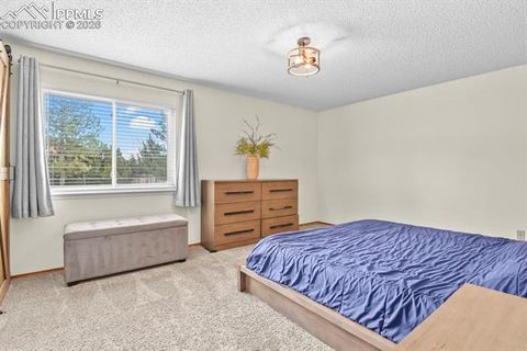 Tiny photo for 8115 Tulip Tree Court, Colorado Springs, CO 80920 (MLS # 1347340)