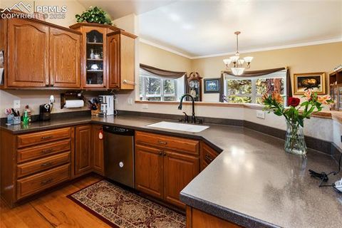 Tiny photo for 1530 Masters Drive, Woodland Park, CO 80863 (MLS # 7701205)