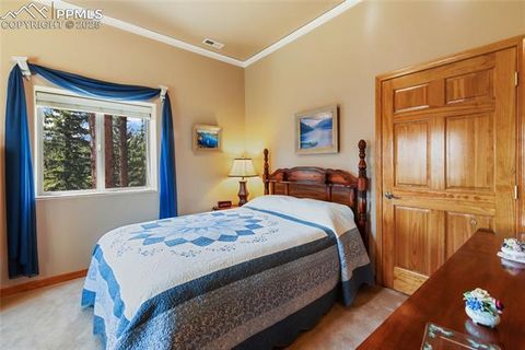 Tiny photo for 1530 Masters Drive, Woodland Park, CO 80863 (MLS # 7701205)