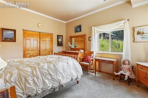 Tiny photo for 1530 Masters Drive, Woodland Park, CO 80863 (MLS # 7701205)