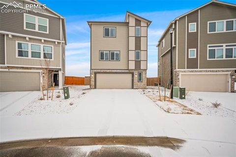 8081 Jayla Trail Peyton CO 80831