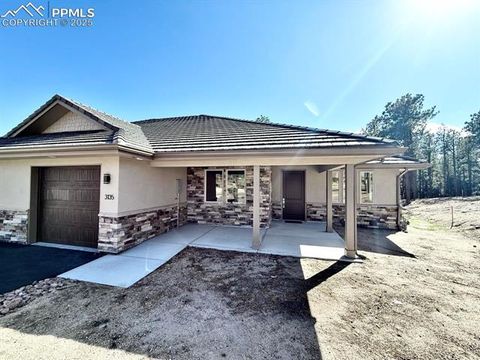 Photo of 3135 Promise Point, Colorado Springs, CO 80921 (MLS # 9992775)