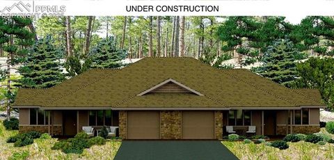 Photo of 3135 Promise Point, Colorado Springs, CO 80921 (MLS # 9992775)