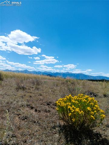 567 Trails End Court