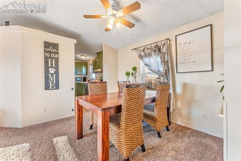 Tiny photo for 23750 Jayhawk Avenue, Colorado Springs, CO 80928 (MLS # 1588577)