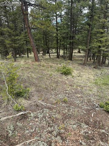 1120/1086 N Mountain Estates Road