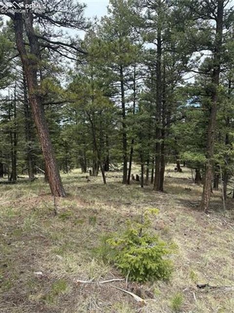 Photo of 11201086 N Mountain Estates Road, Florissant, CO 80816 (MLS # 1171049)