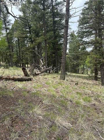 1120/1086 N Mountain Estates Road