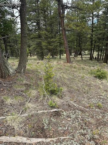 1120/1086 N Mountain Estates Road