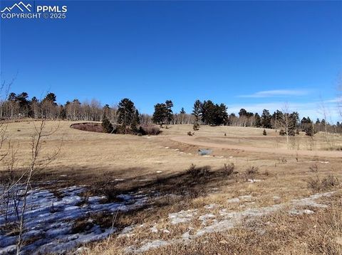 Photo of 29 Hidden Valley Drive, Florissant, CO 80816 (MLS # 8356422)