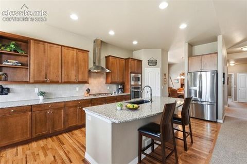 Tiny photo for 2075 Ever Red Court, Colorado Springs, CO 80921 (MLS # 9027556)