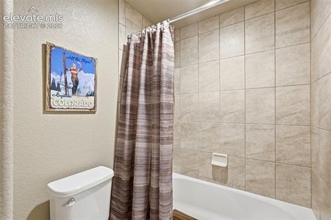 Tiny photo for 2075 Ever Red Court, Colorado Springs, CO 80921 (MLS # 9027556)