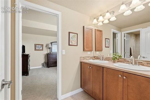 Tiny photo for 2075 Ever Red Court, Colorado Springs, CO 80921 (MLS # 9027556)