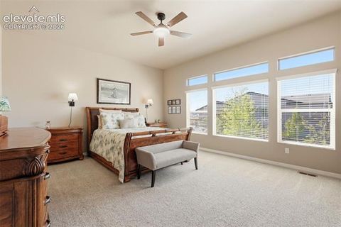 Tiny photo for 2075 Ever Red Court, Colorado Springs, CO 80921 (MLS # 9027556)