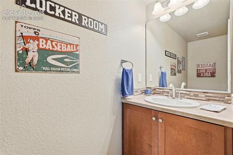 Tiny photo for 2075 Ever Red Court, Colorado Springs, CO 80921 (MLS # 9027556)