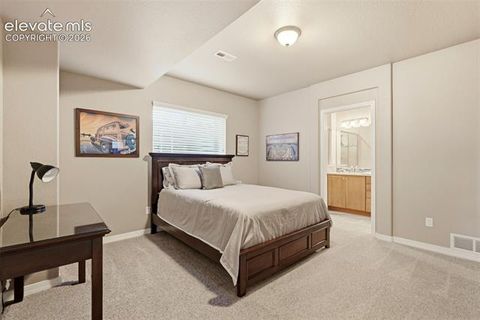 Tiny photo for 2075 Ever Red Court, Colorado Springs, CO 80921 (MLS # 9027556)