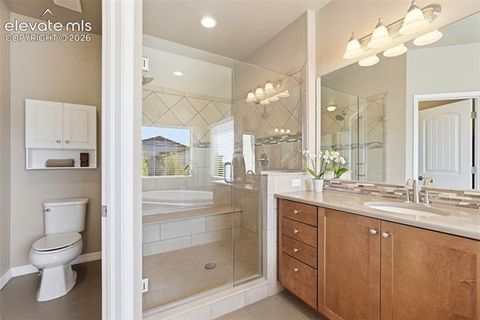 Tiny photo for 2075 Ever Red Court, Colorado Springs, CO 80921 (MLS # 9027556)