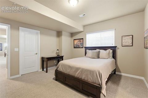 Tiny photo for 2075 Ever Red Court, Colorado Springs, CO 80921 (MLS # 9027556)